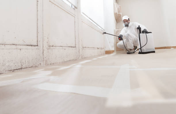 24/7 Emergency Mold Testing experts in Herndon, PA